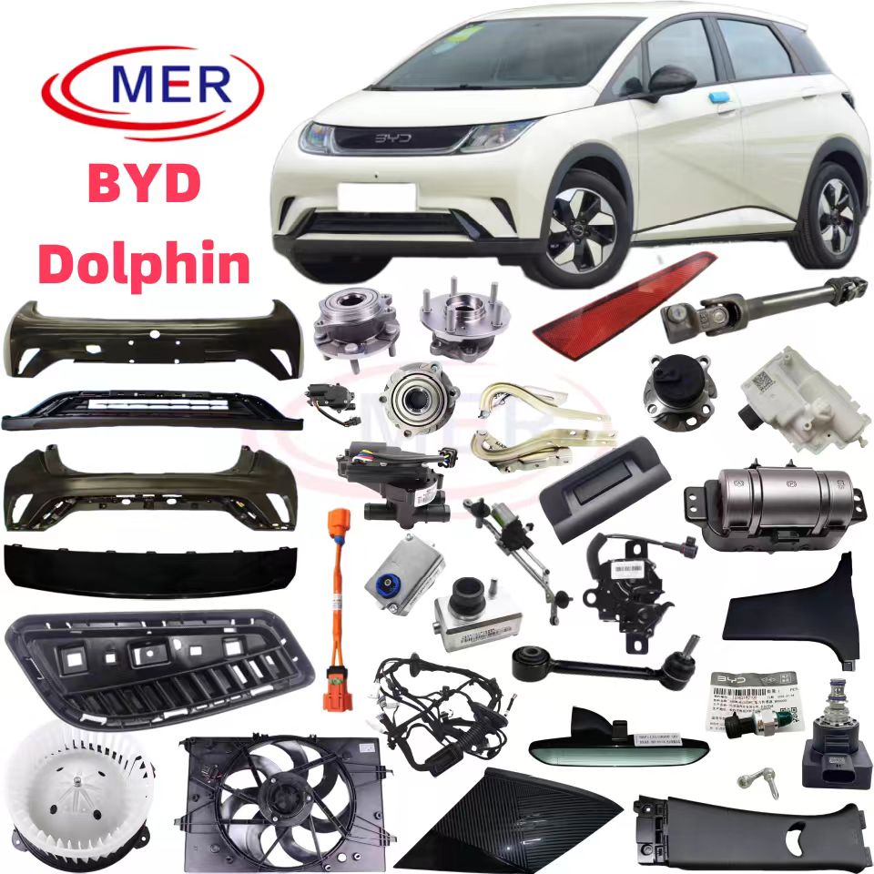 for BYD Dolphin .jpg